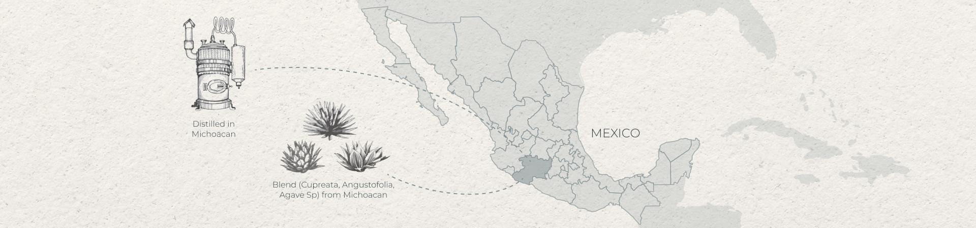 Blend (Cupreata, Angustofolia, Agave Sp) from Michoacan Distilled in Michoacan